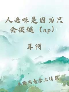 人妻味是因为只会挨糙（np）