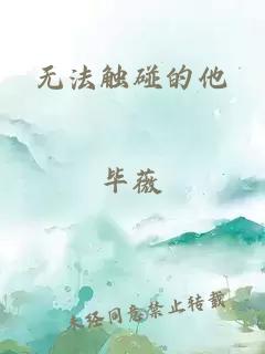 无法触碰的他